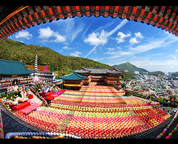 삼광사 연등축제 이미지