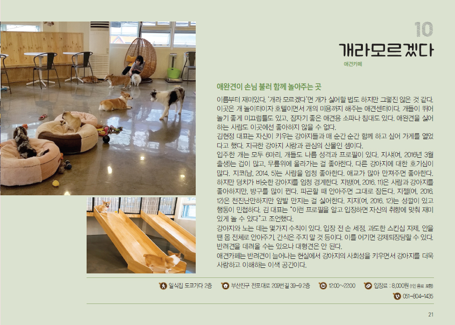 슬라이드 이미지