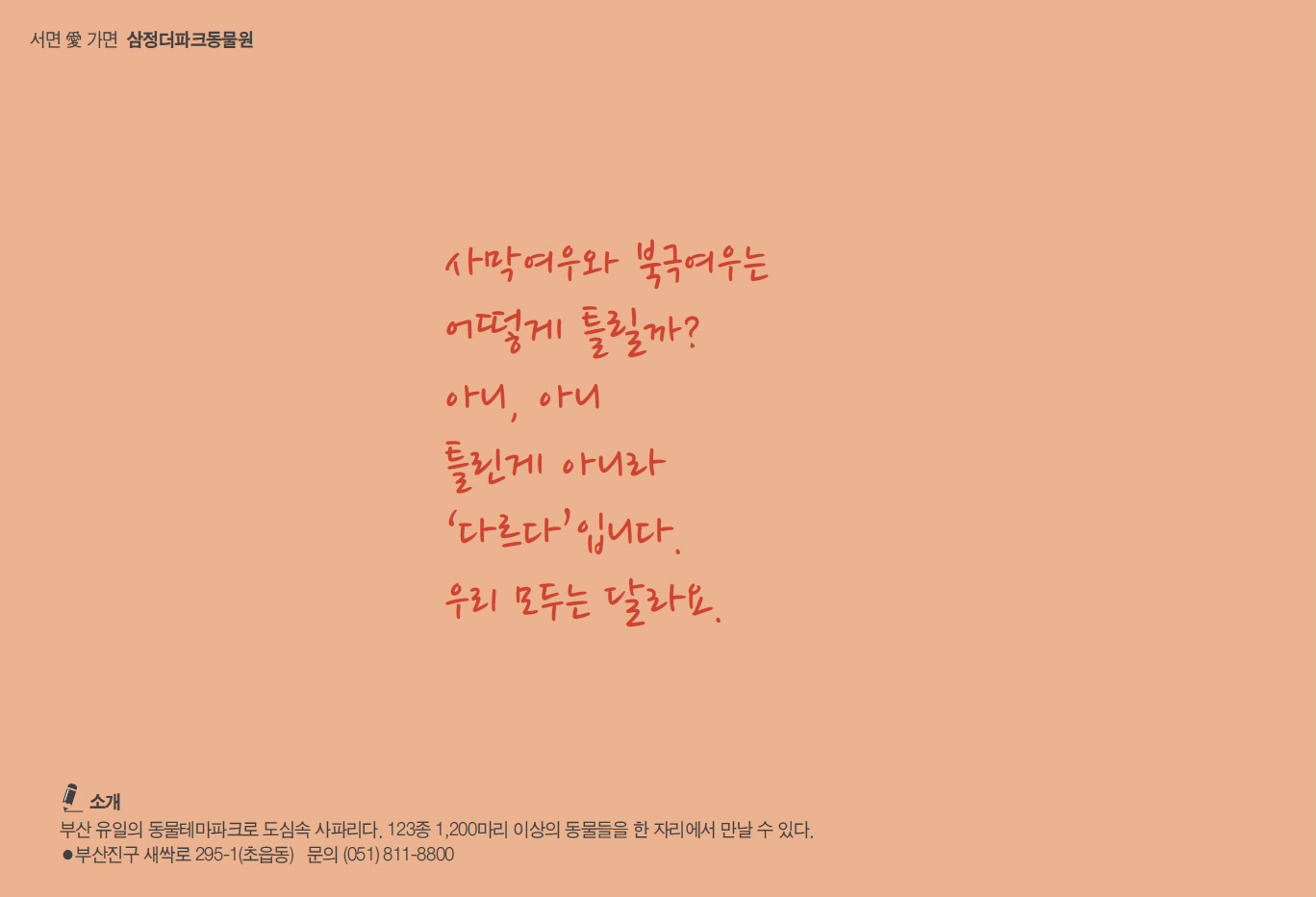 슬라이드 이미지