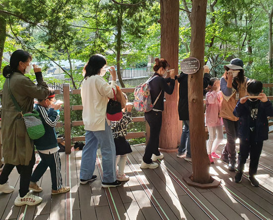 서면메디컬스트리트축제 이미지