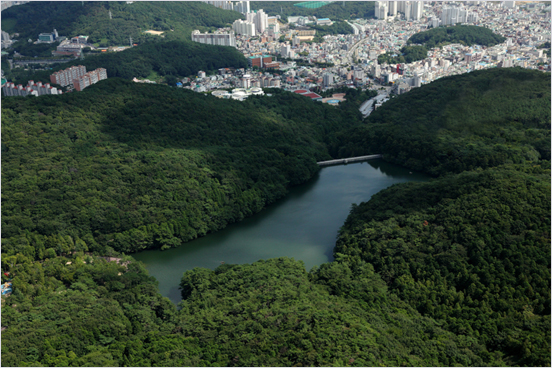 멀리서 바라보는 빽빽한 나무로 가득찬 어린이대공원 모습