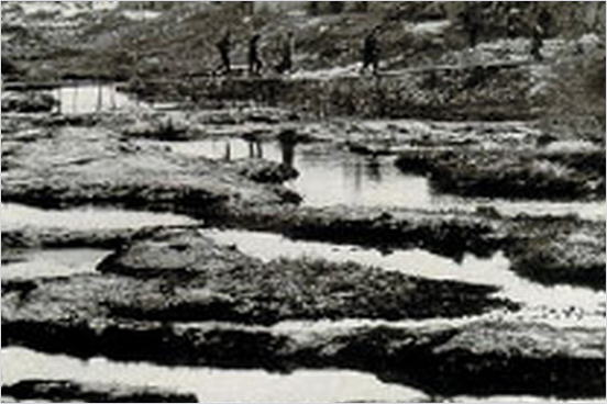 동천을 지나가는 사람들있는 모습