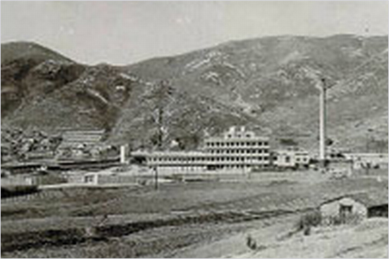 멀리서 바라보는 럭키공업사 전체 건물 모습