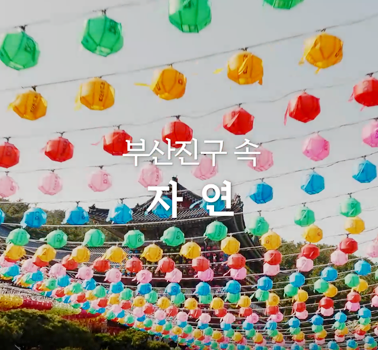 자연 속 부산진구