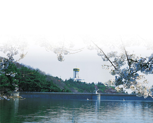 성지곡수원지 관련자료