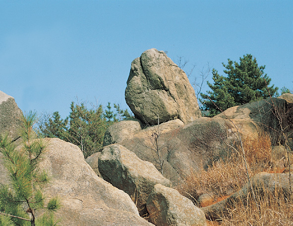 구상반려암 (천연기념물 제267호) 관련자료