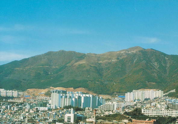 백양산 관련자료