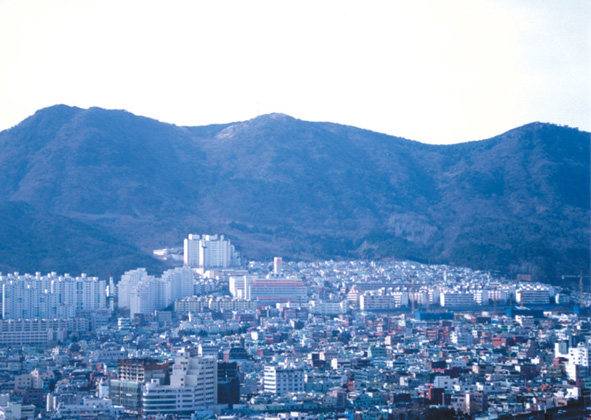 엄광산 관련자료