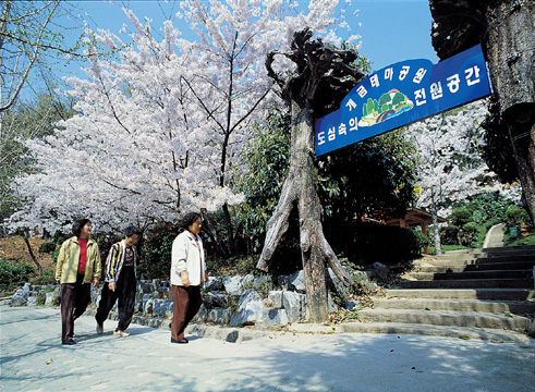 개금 테마공원 관련자료