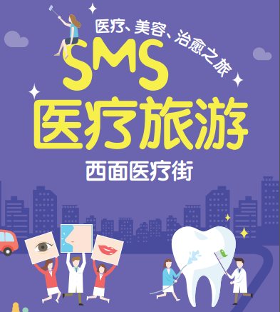 2019 SMS広報パンフレット (中国語版) 관련자료