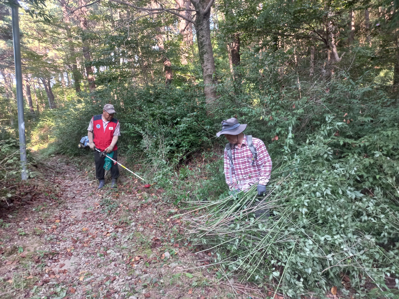 한국자유총연맹 개금2동위원회，가을맞이 엄광산 예초작업 진행 관련자료