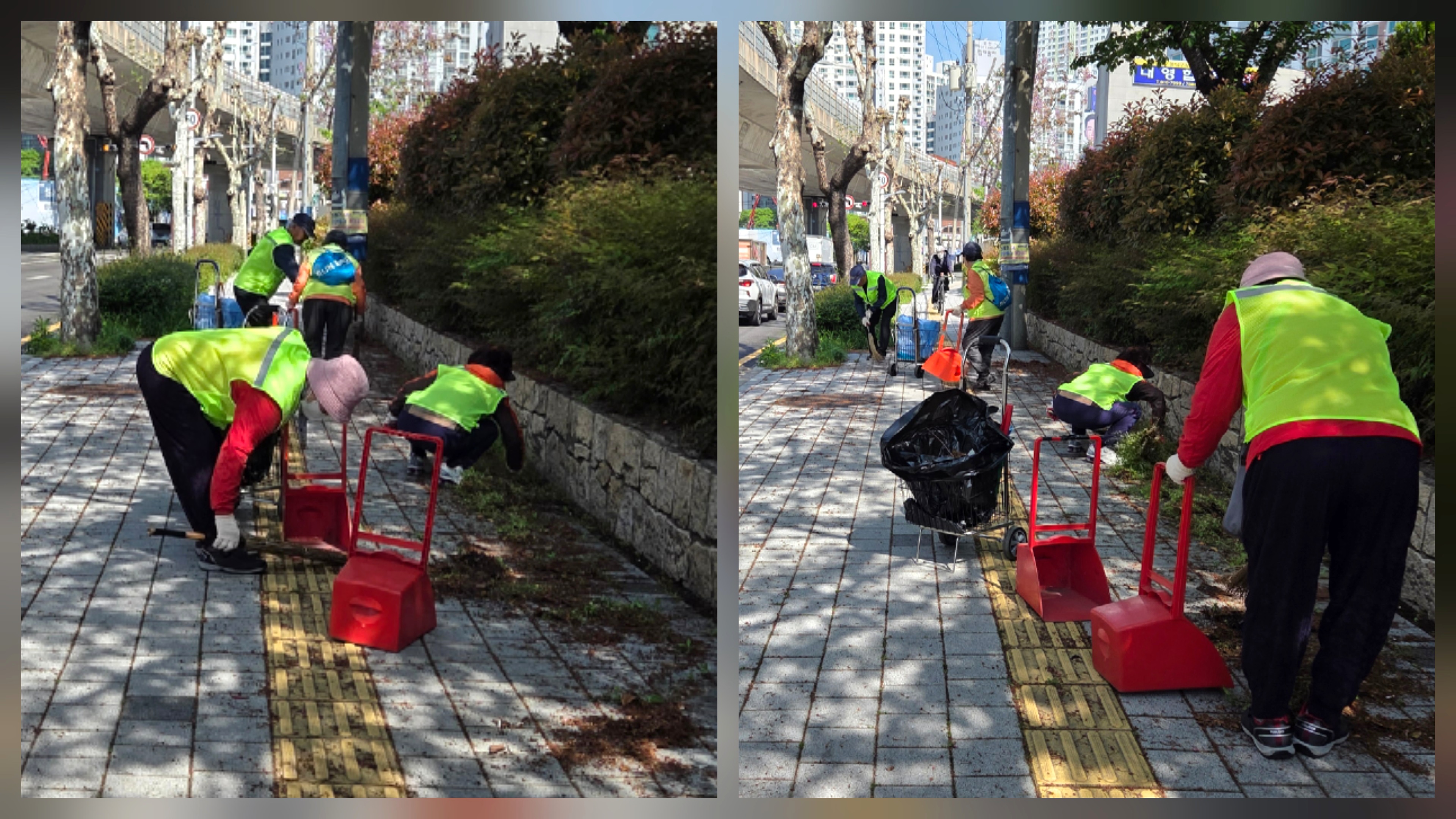 부전2동, 환경지킴이 신천대로 풀뽑기 환경정비 실시 관련자료