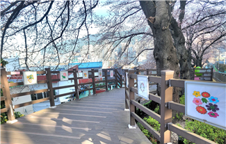벚꽃데크길, 액자 교체 관련자료