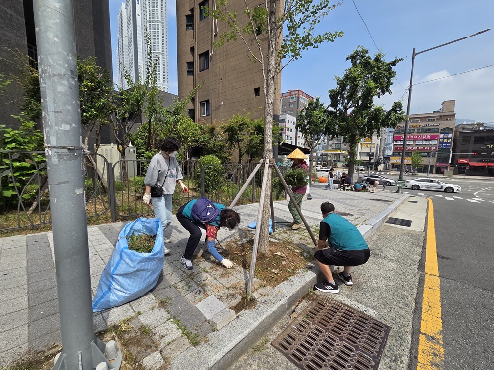 [가야2동] 7월 도시환경정비 실시 관련자료