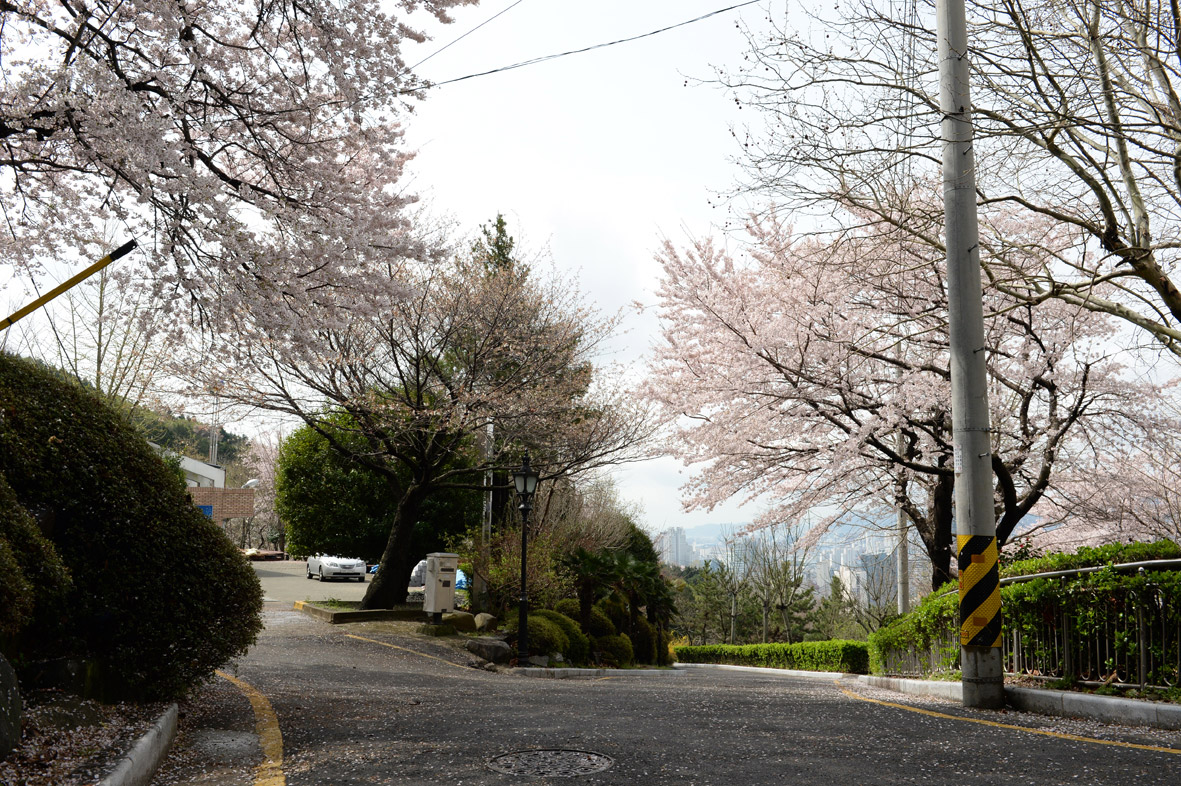 황령산레포츠공원